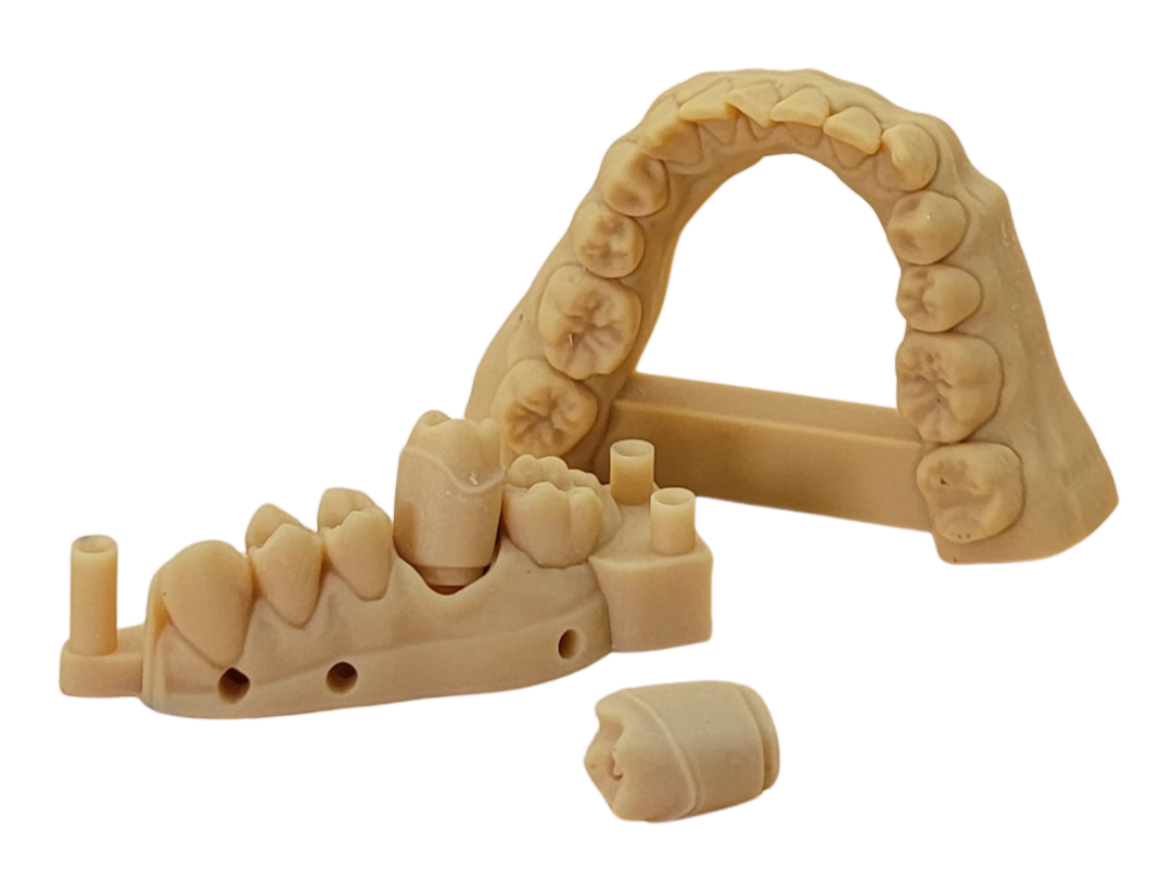 MD600™ Dental Model Resin – High Precision, Fast Print